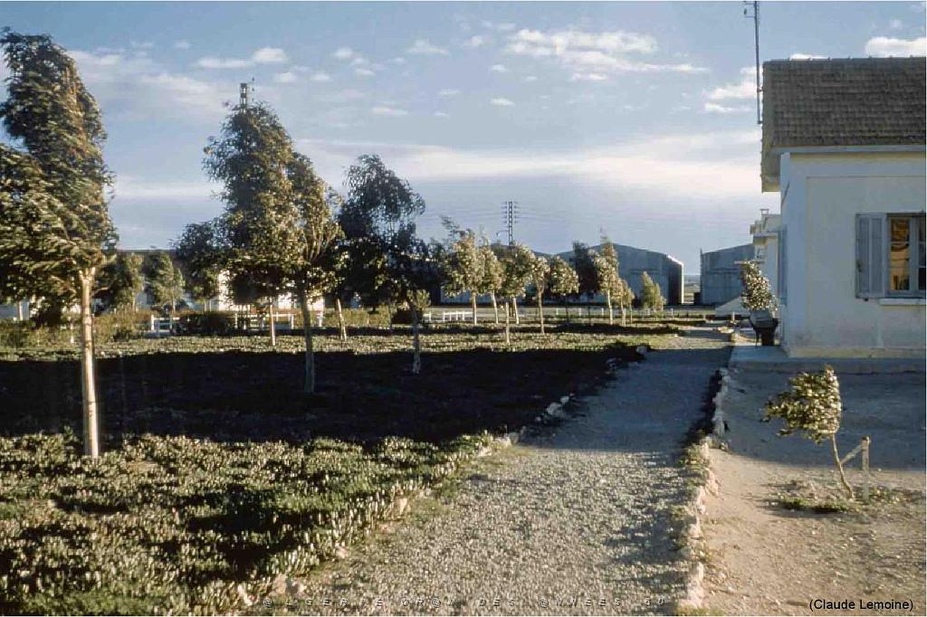 125-AERODROMES-ET-BASES-1945-1962-1-SIDI BEL ABBES ET ALAT 102 (31).jpg